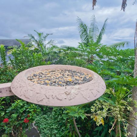 Kona Hawaii Guest House A Unique Hawaii Experience Keauhou Eksteriør billede