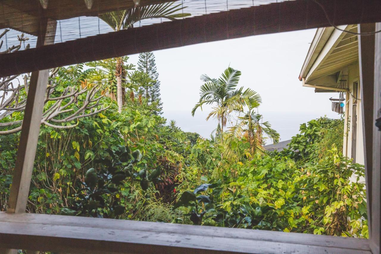 Kona Hawaii Guest House A Unique Hawaii Experience Keauhou Eksteriør billede