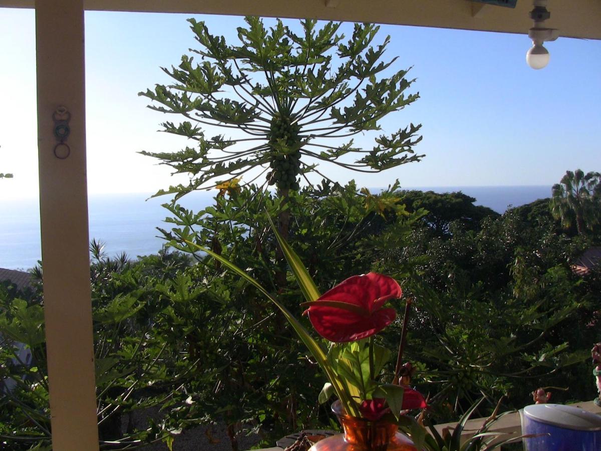 Kona Hawaii Guest House A Unique Hawaii Experience Keauhou Eksteriør billede