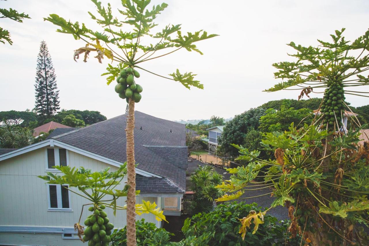Kona Hawaii Guest House A Unique Hawaii Experience Keauhou Eksteriør billede
