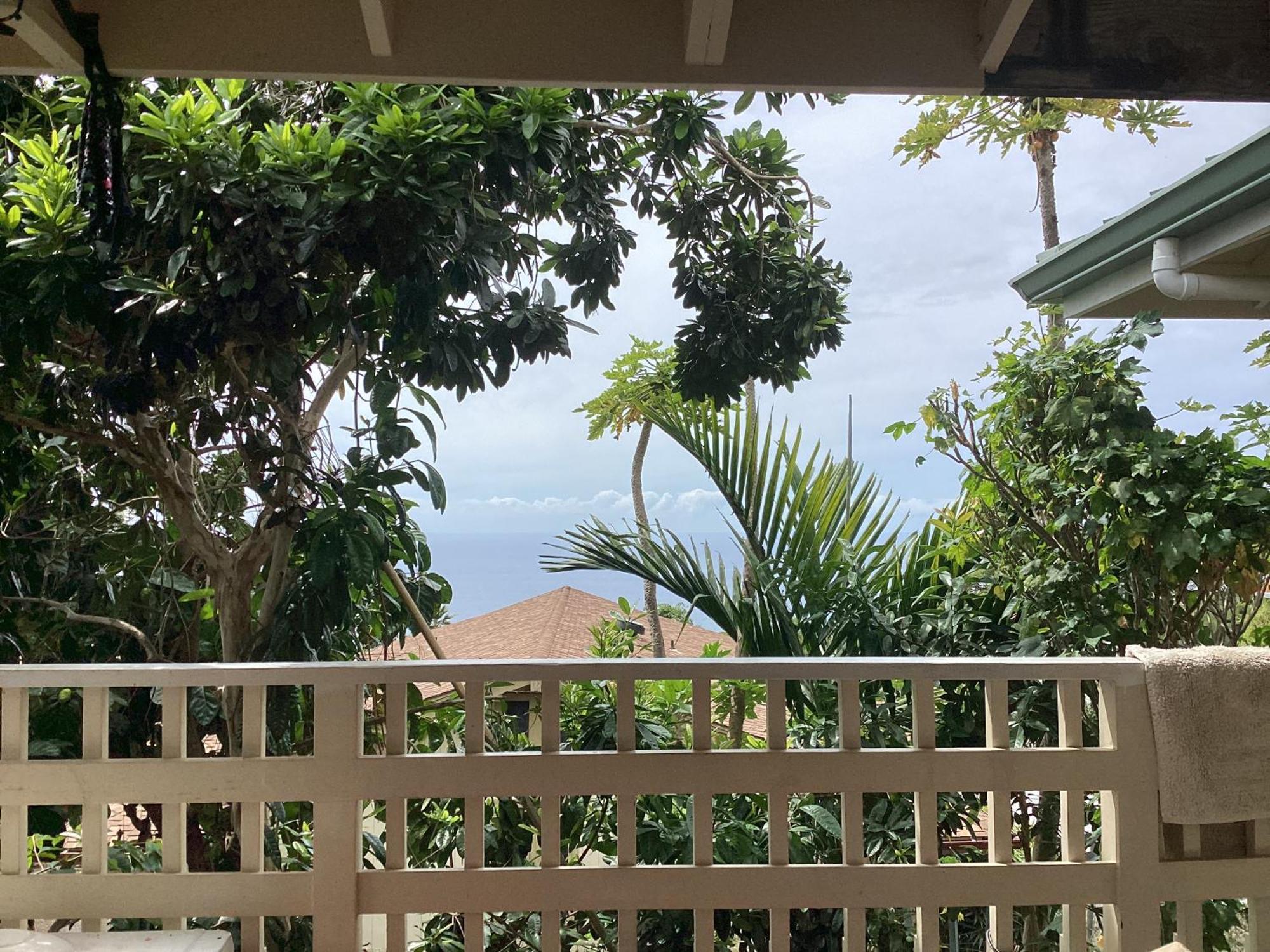 Kona Hawaii Guest House A Unique Hawaii Experience Keauhou Eksteriør billede