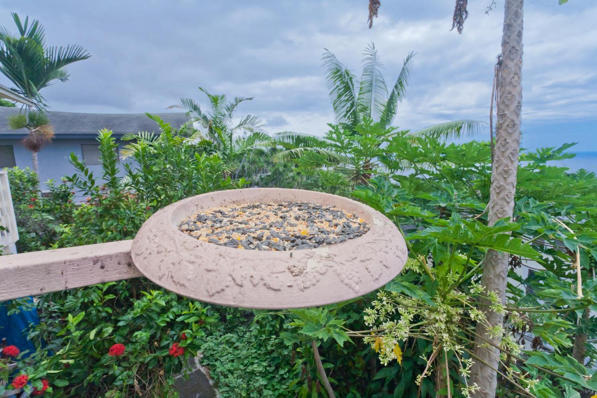 Kona Hawaii Guest House A Unique Hawaii Experience Keauhou Eksteriør billede